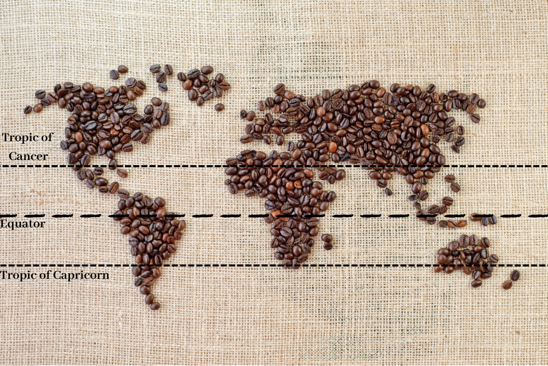 Der Kaffeegürtel (coffee belt)
