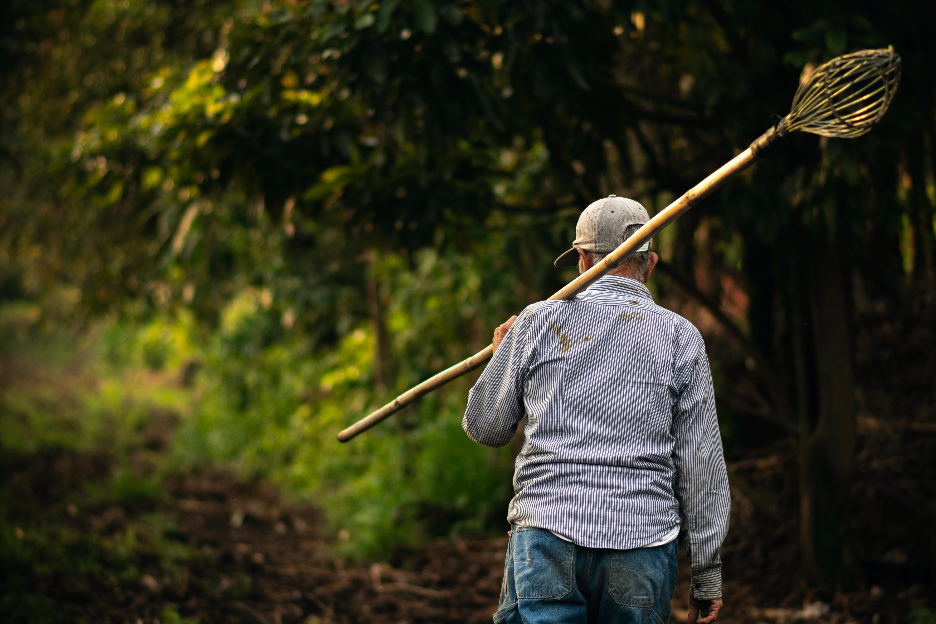 Herausforderungen beim Kaffee Anbau in Kolumbien