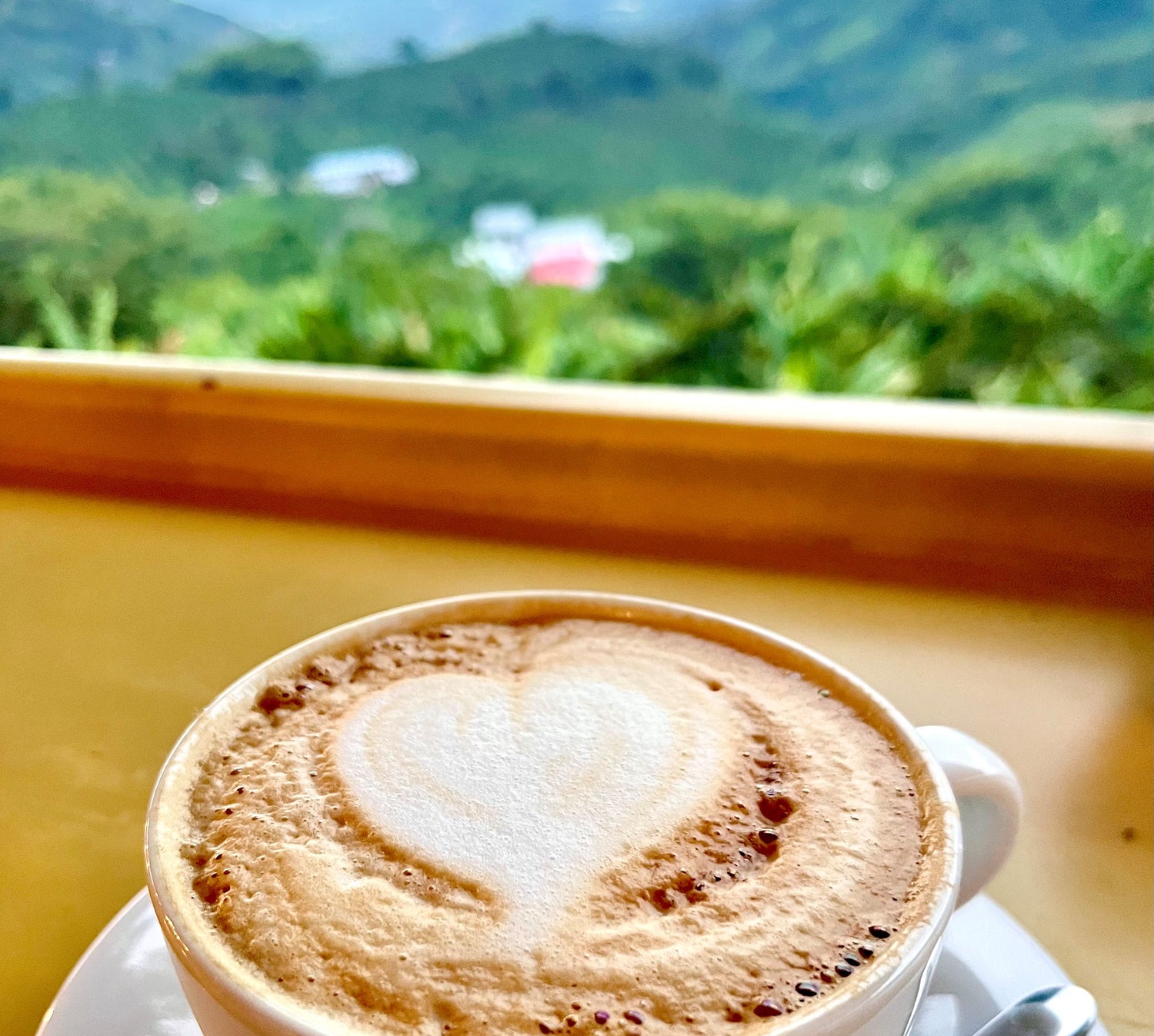 Kolumbianischer Kaffee