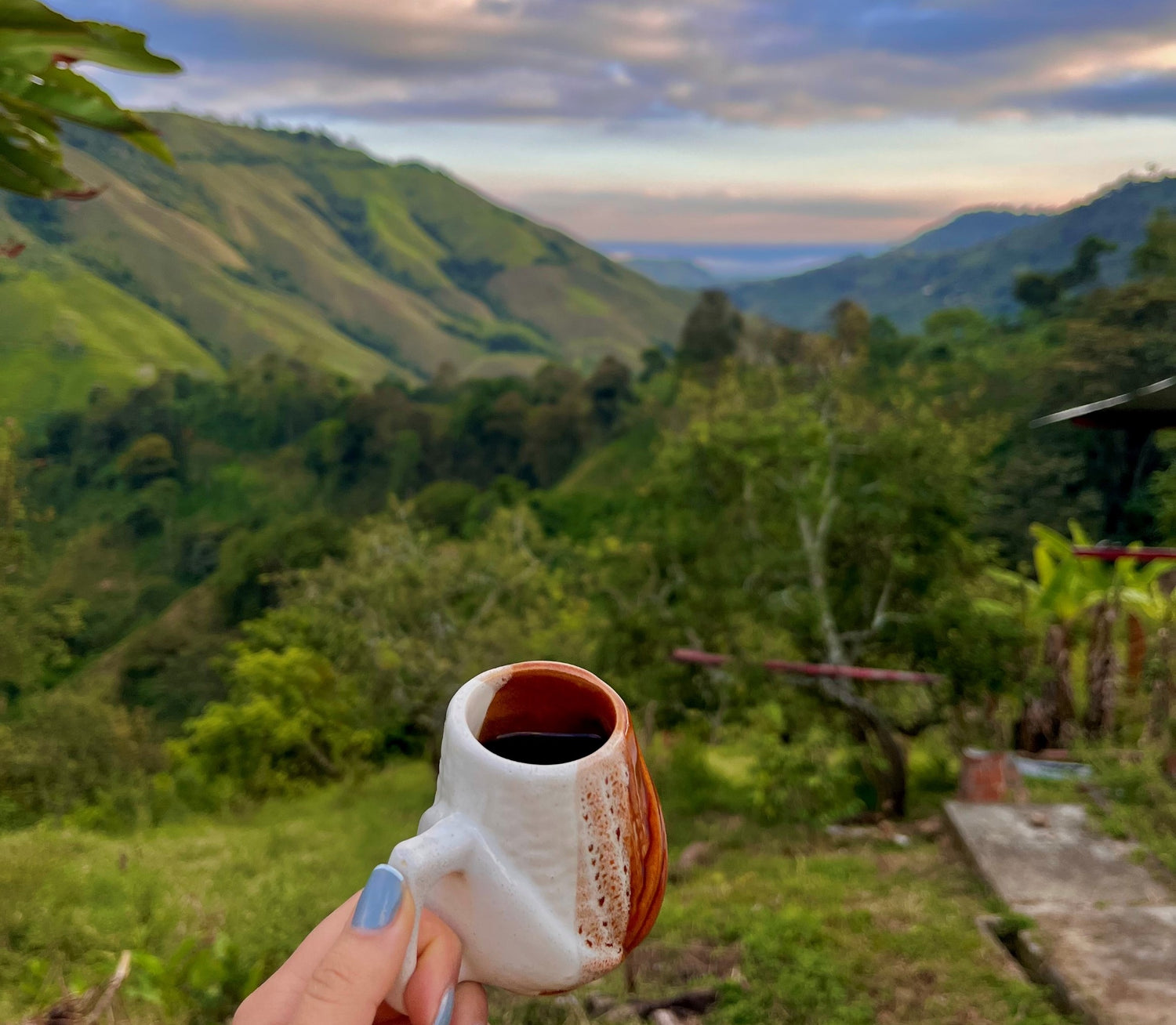Wie sieht der Tagesablauf auf einer typischen Kaffee-Finka in Kolumbien aus?