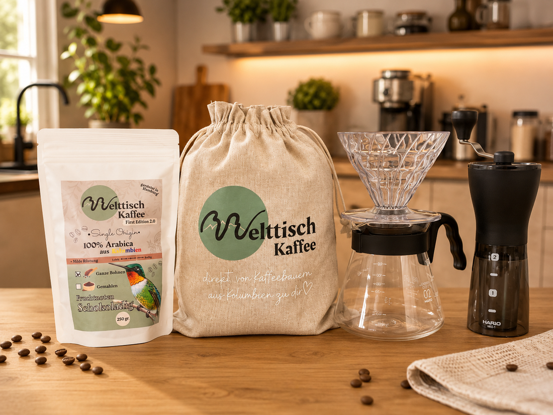 Brew Beginner Kit - Filter V60